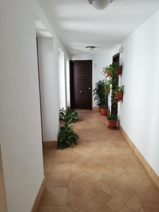 Estudio San Pedro-Corredera กอร์โดบา ภายนอก รูปภาพ